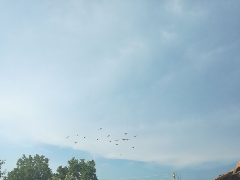  - 2017 Antrenament-pregatire-fond-2--6 iulie