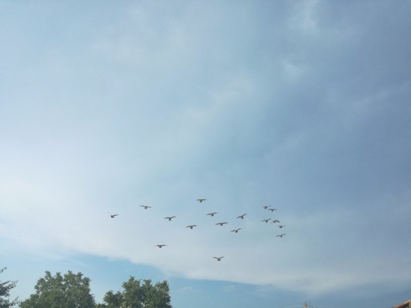  - 2017 Antrenament-pregatire-fond-2--6 iulie