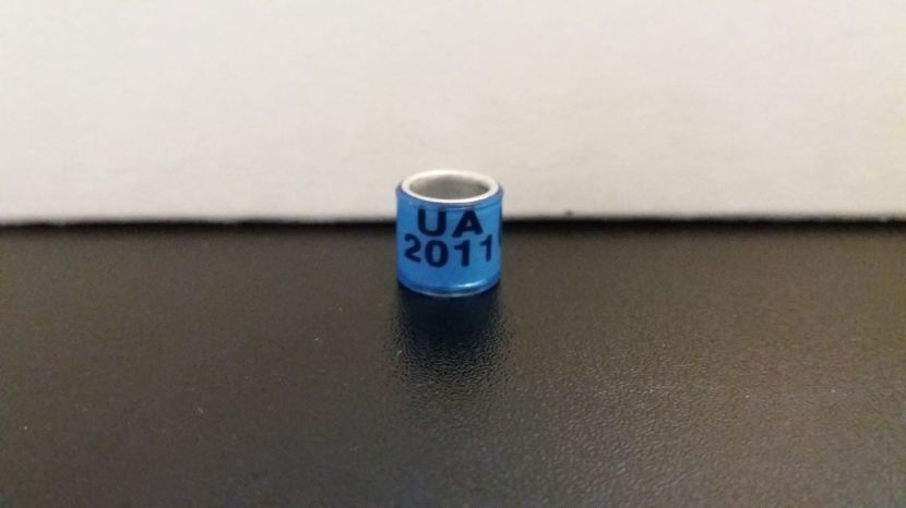  - Inele Ukraina - 18 piese