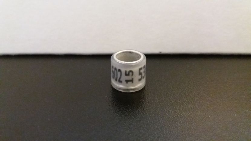  - Inele Austria - 12 piese