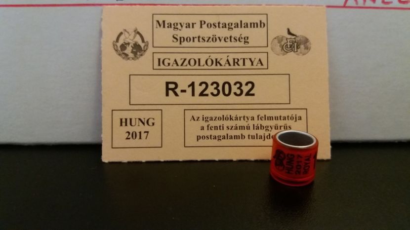  - Inele Ungaria - 19 piese