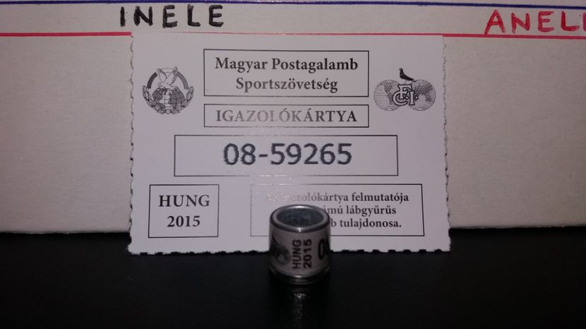  - Inele Ungaria - 19 piese