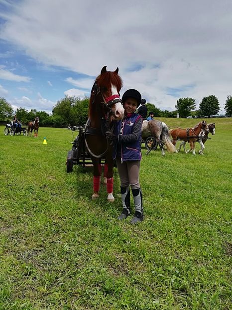  - KARPATIA PONNY SHOW 2017