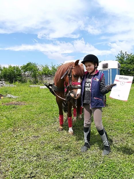  - KARPATIA PONNY SHOW 2017