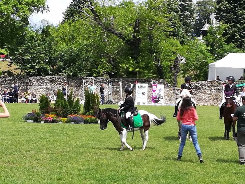  - KARPATIA PONNY SHOW 2017