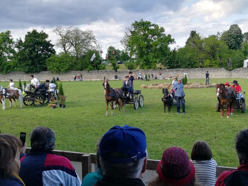  - KARPATIA PONNY SHOW 2017