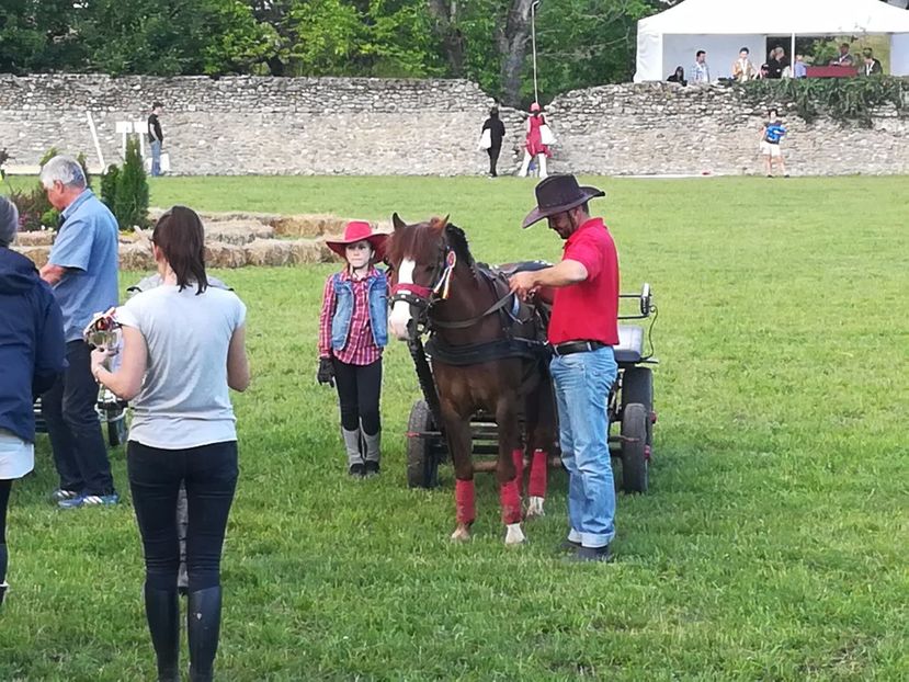  - KARPATIA PONNY SHOW 2017