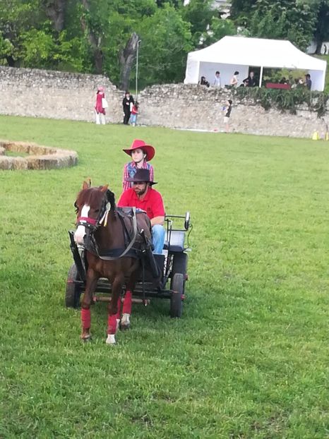  - KARPATIA PONNY SHOW 2017