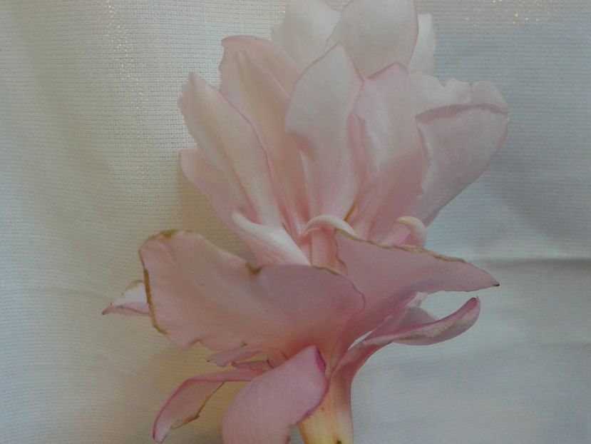 Fotografie0146 - LEANDRI