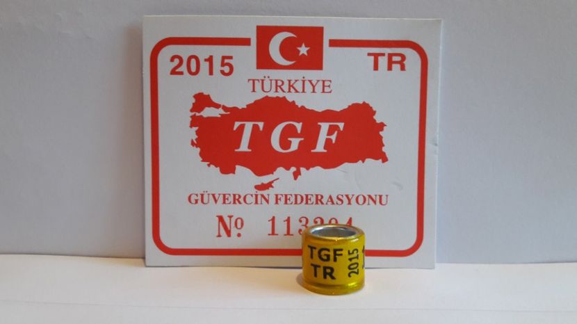 TR 2015 TGF - TURCIA - TR