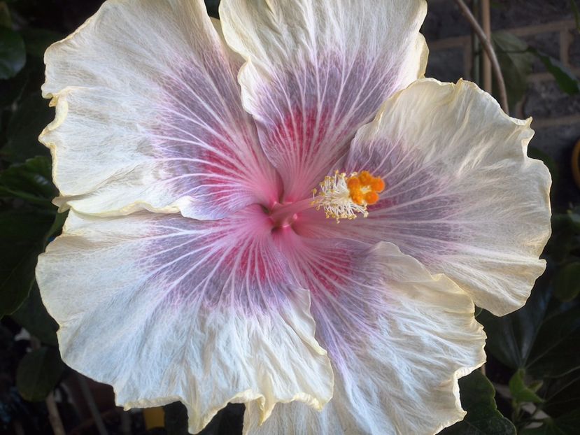 WIN_20170619_111410 - Barry Schlueter