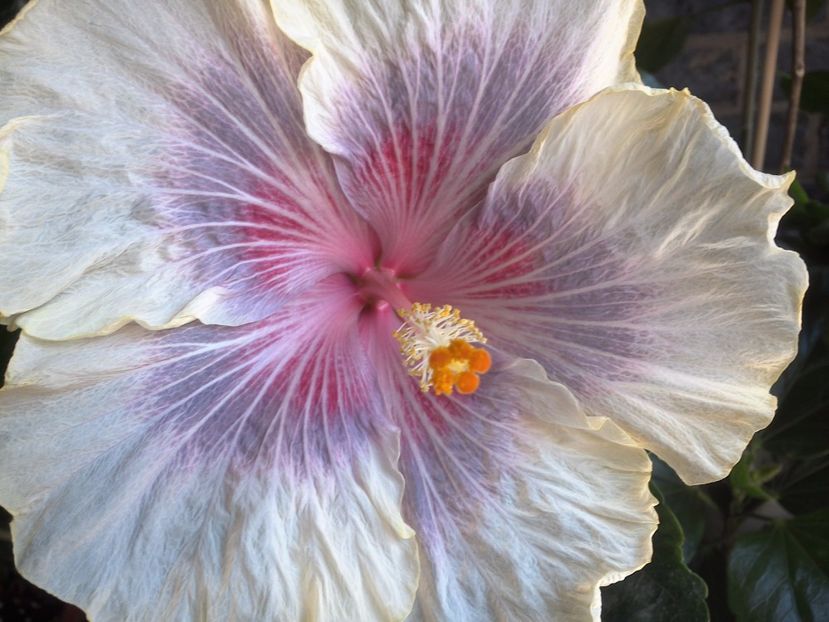 WIN_20170619_111414 - Barry Schlueter