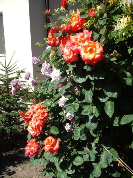  - Christopher Columbus