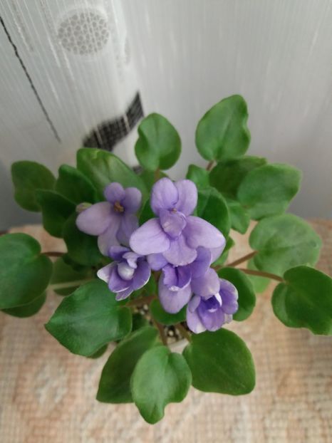 18 iunie - Rob s Humpty Doo Sport