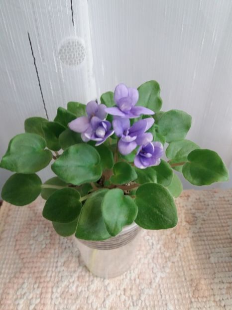 18 iunie - Rob s Humpty Doo Sport