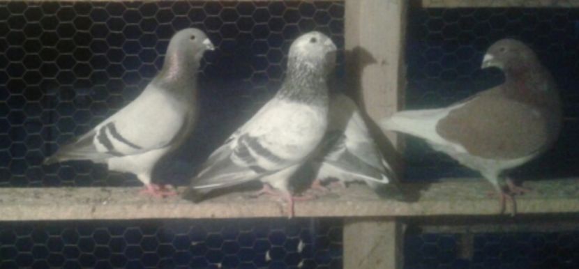 2017-06-21 18.31.44 - Contact