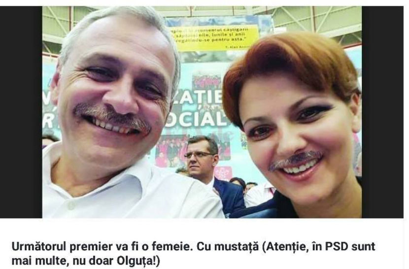  - Poze haioase pamflet