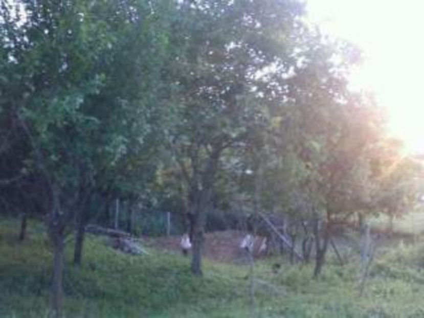 received_1783256851984971 - Realizari 2017