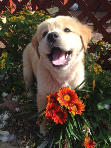  - but baby maybe when we say love