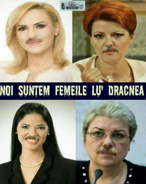  - Poze haioase pamflet