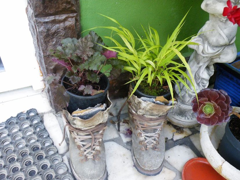  - 2017 in gradina mea