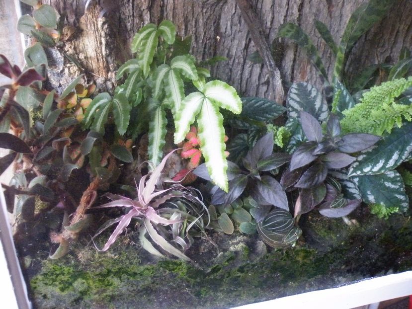  - Un nou proiect- miniterariu