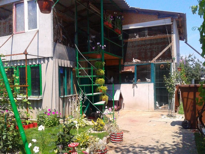 Fotografie-1549 - Gradina mea