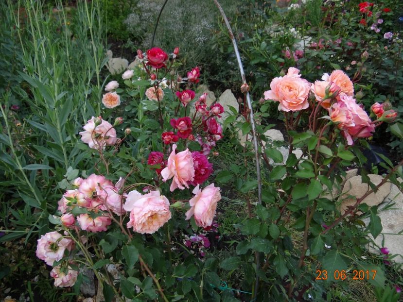 Andre Turcat - Iunie