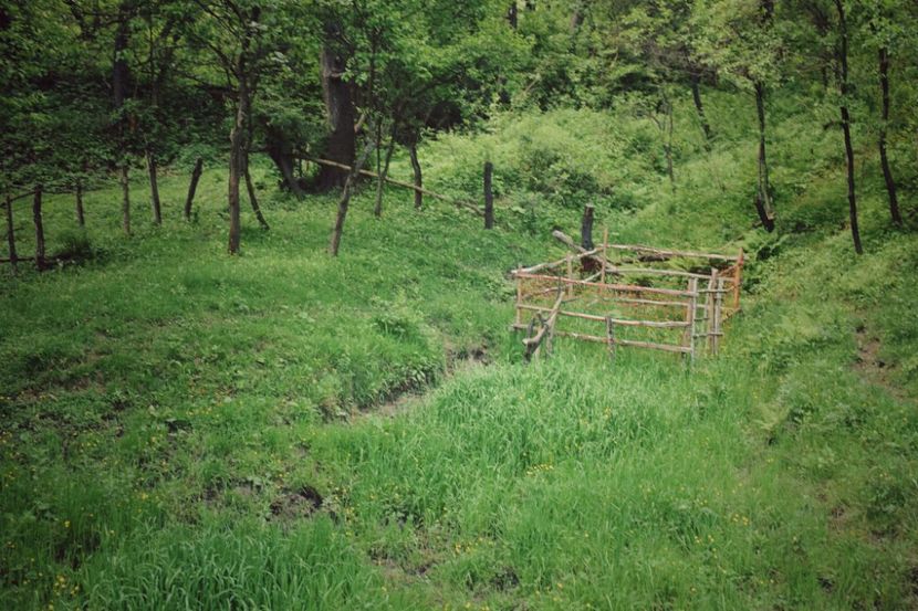  - Photo 07 - Mai 2017