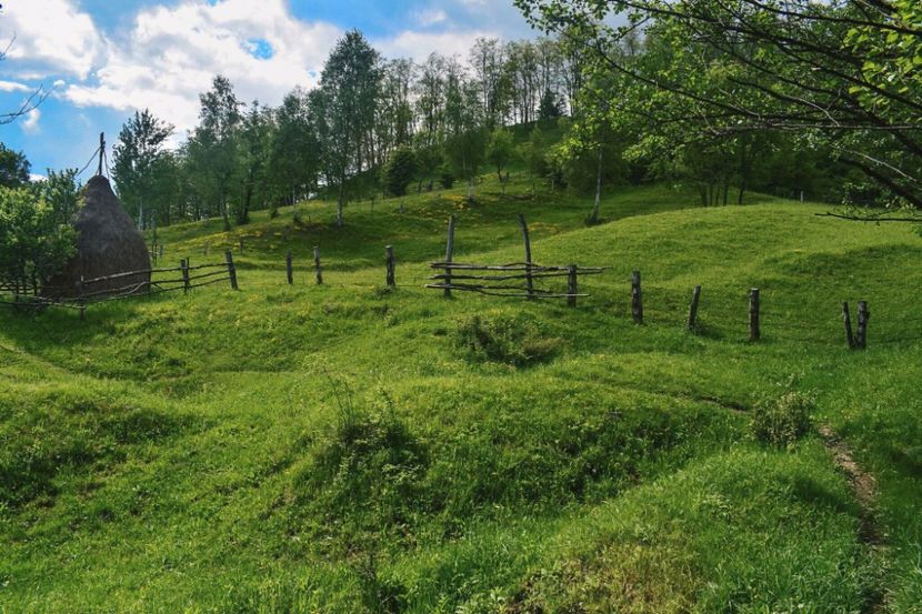  - Photo 07 - Mai 2017