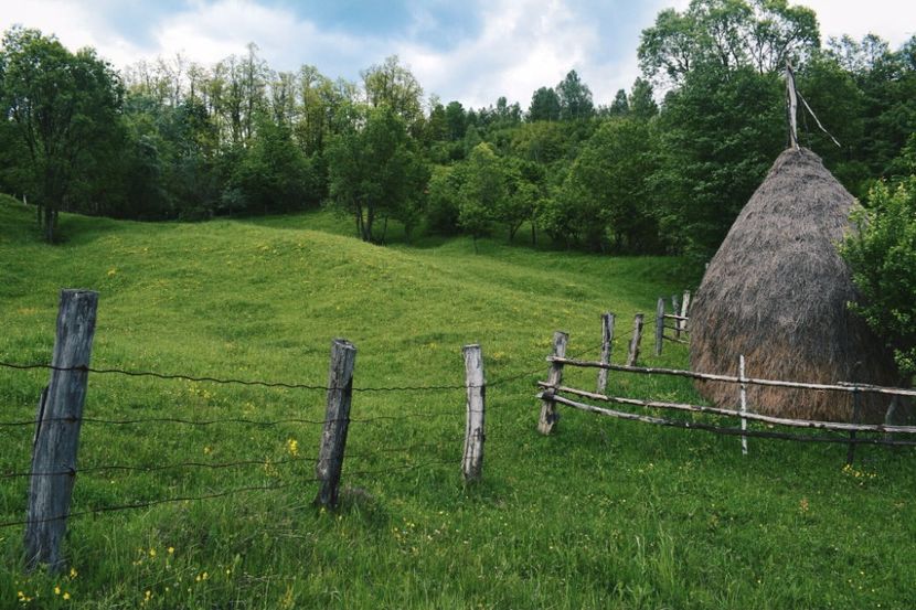  - Photo 07 - Mai 2017