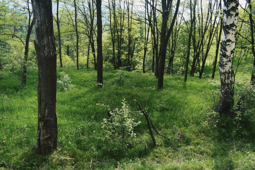  - Photo 07 - Mai 2017