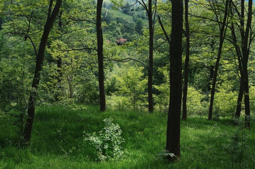  - Photo 07 - Mai 2017