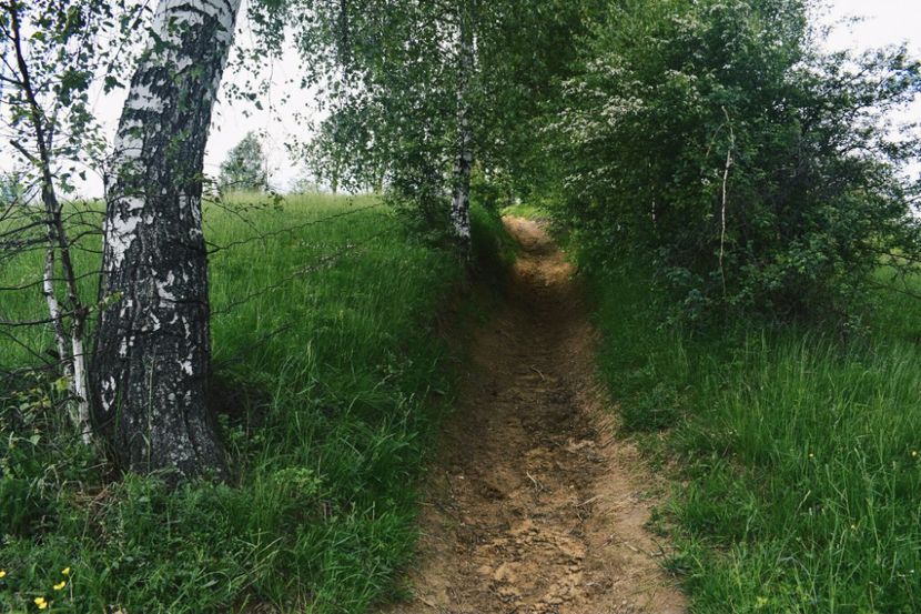  - Photo 07 - Mai 2017