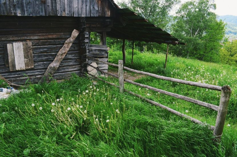  - Photo 07 - Mai 2017