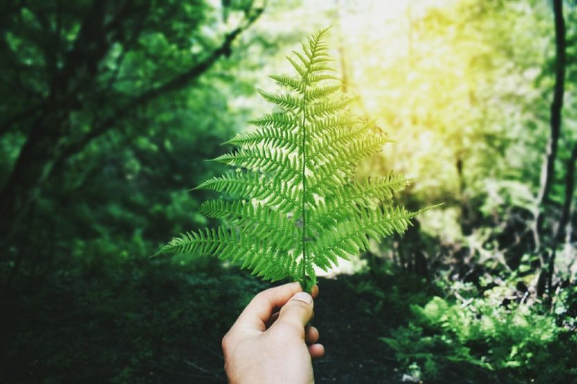  - Photo 07 - Mai 2017