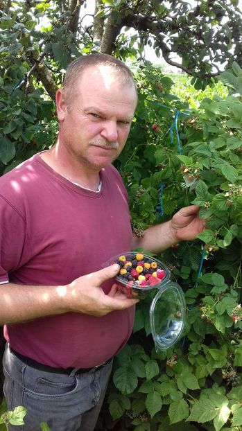 received_445467292475298 - ZMEURA NEAGRA-BLACK JEWEL