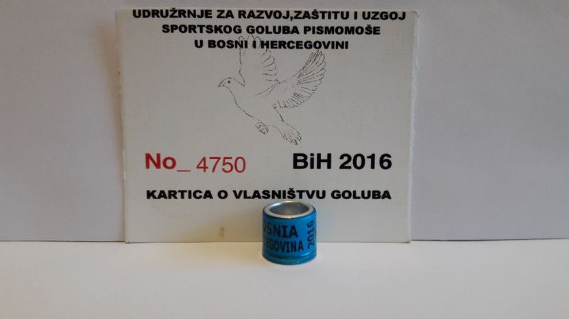 BOSNIA HERZEGOVINA 2016 - BOSNIA HERȚEGOVINA - BIH