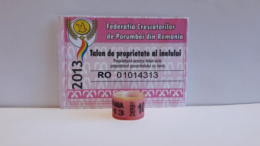 ROMÂNIA 2013 DERBY - RO - DERBY