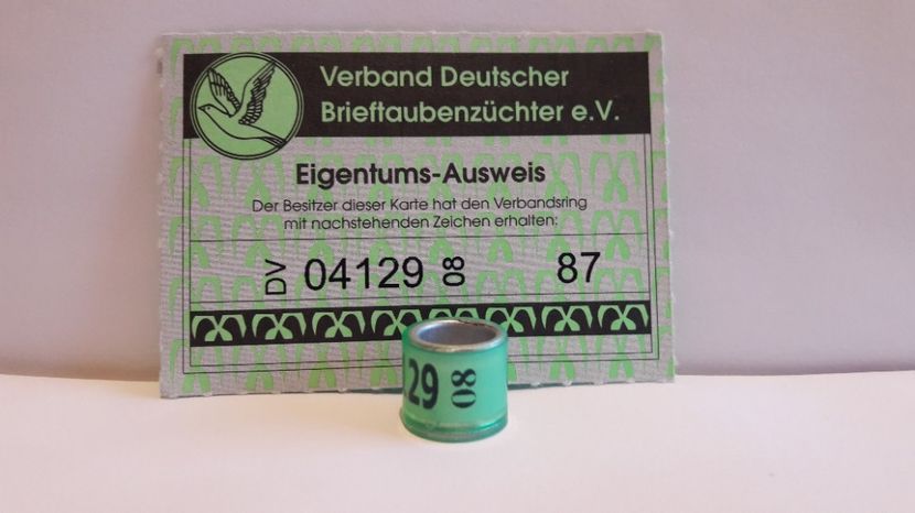 DV 08 - GERMANIA - DV