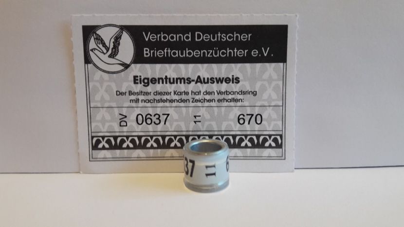 DV 11 - GERMANIA - DV