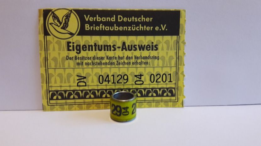 DV 04 - GERMANIA - DV