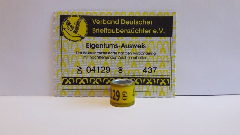 DV 09 - GERMANIA - DV