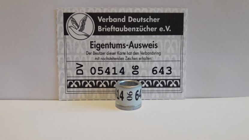 DV 06 - GERMANIA - DV