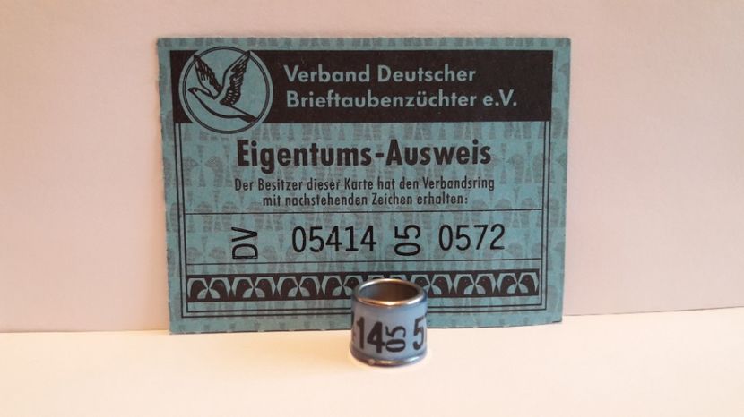 DV 05 - GERMANIA - DV