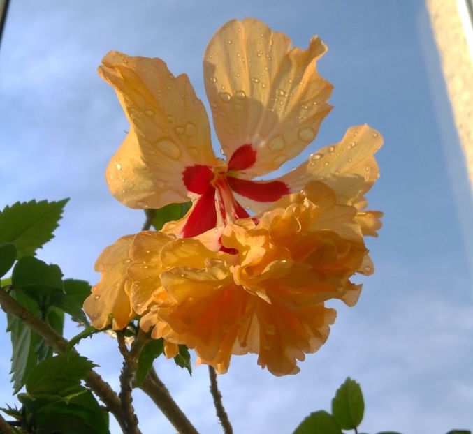  - El Capitolio Sport of Sport