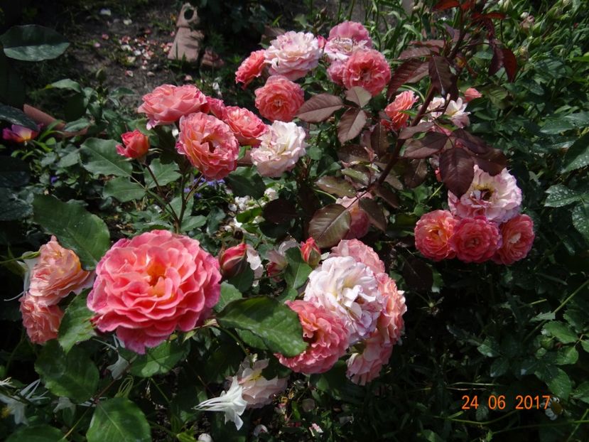  - Michelle Bedrossian