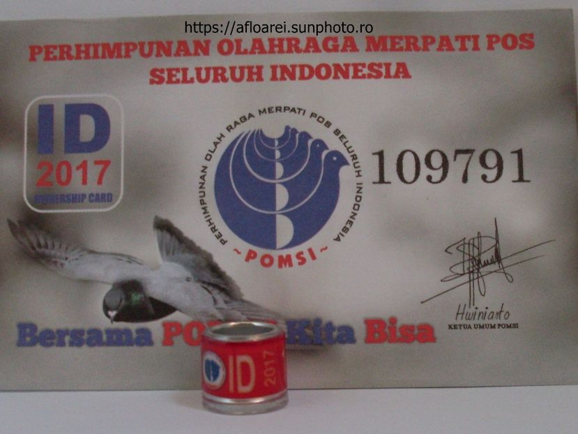 ID 2017 - INDONEZIA