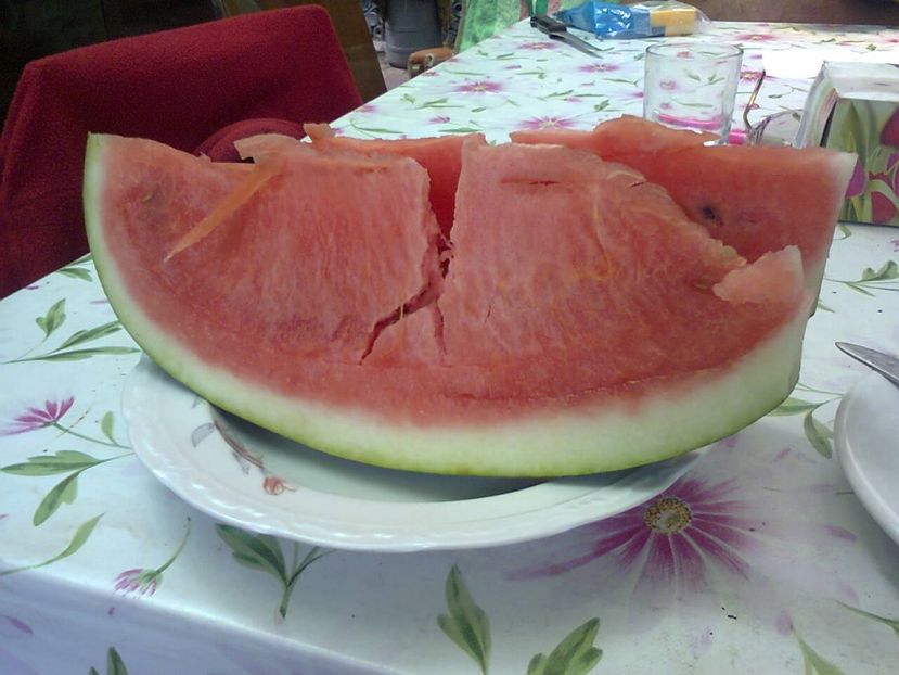 19 iunie Prima lebenita de la PROFI - 2017 VARA LA GRADINA