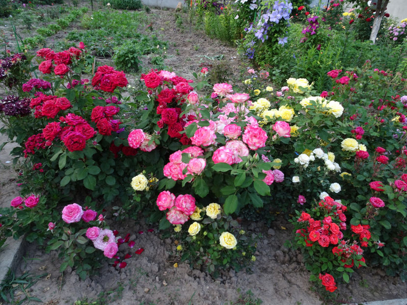  - Jubile du Prince du Monaco